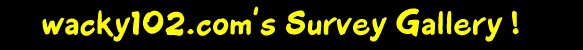 Survey Gallery Banner